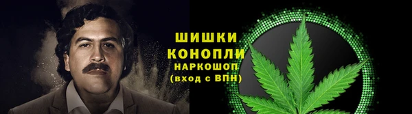 эйфоретик Лабытнанги