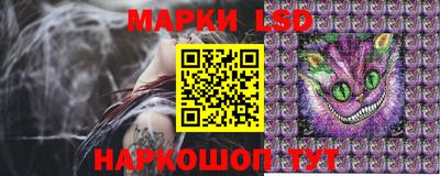 spice Заводоуковск