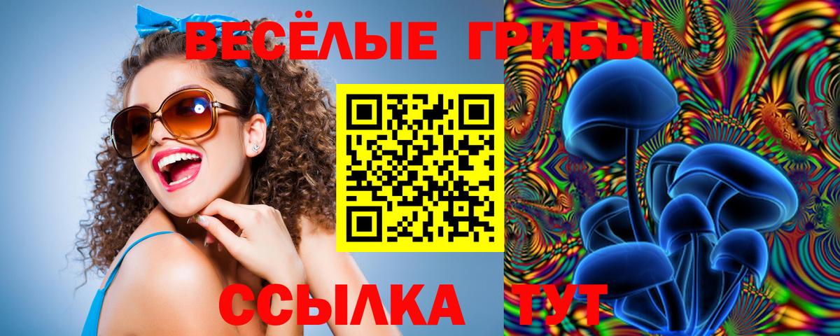 Галлюциногенные грибы GOLDEN TEACHER Краснодар