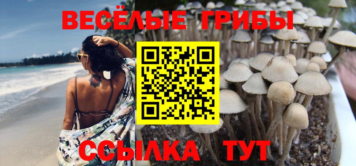 Галлюциногенные грибы мухоморы Краснодар